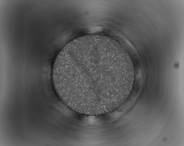 X0000102830565200809151042