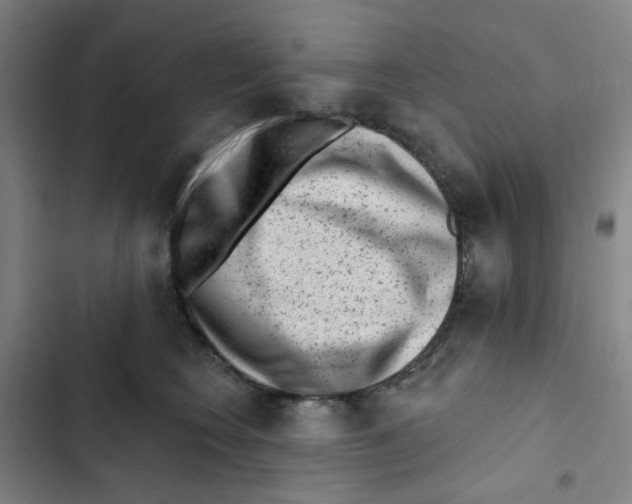 X0000102830566200809151042