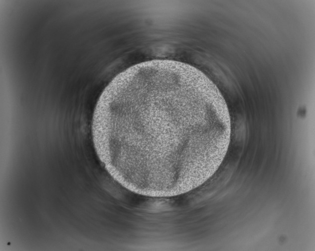 X0000102830569200809151042