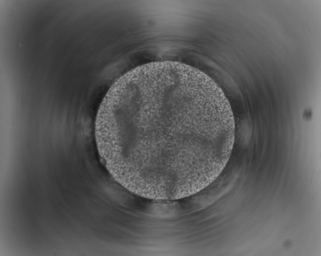 X0000102830571200809151042