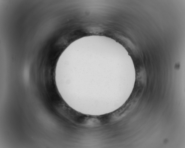 X0000102830572200809151042