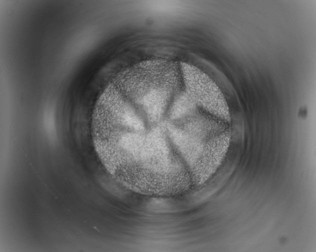 X0000102830573200809151042