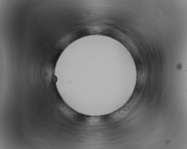 X0000102830574200809151042