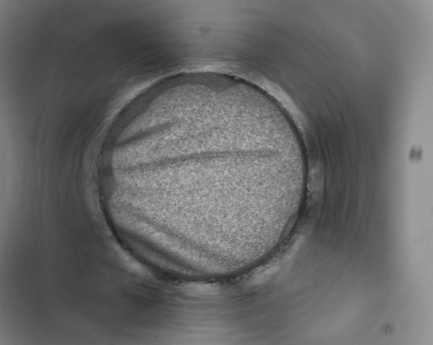 X0000102830577200809151042