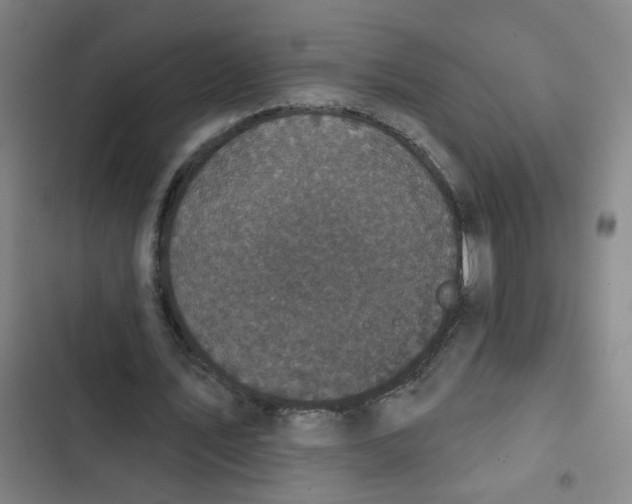 X0000102830579200809151042