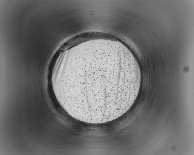 X0000102830580200809151042