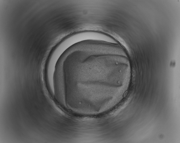 X0000102830581200809151042