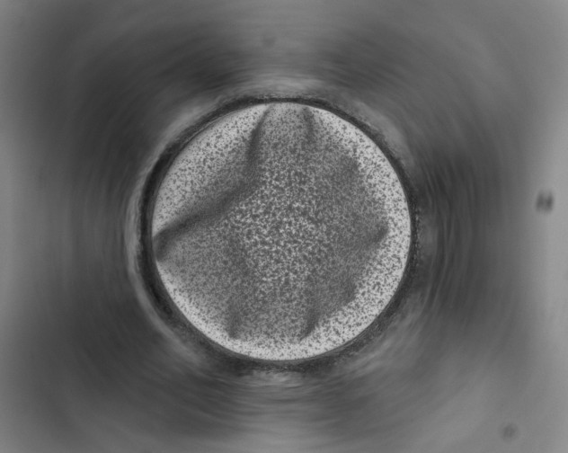 X0000102830582200809151042