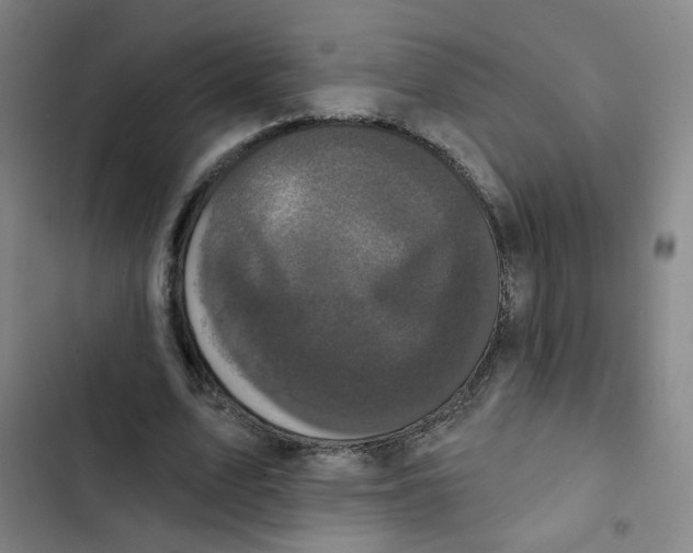 X0000102830583200809151042