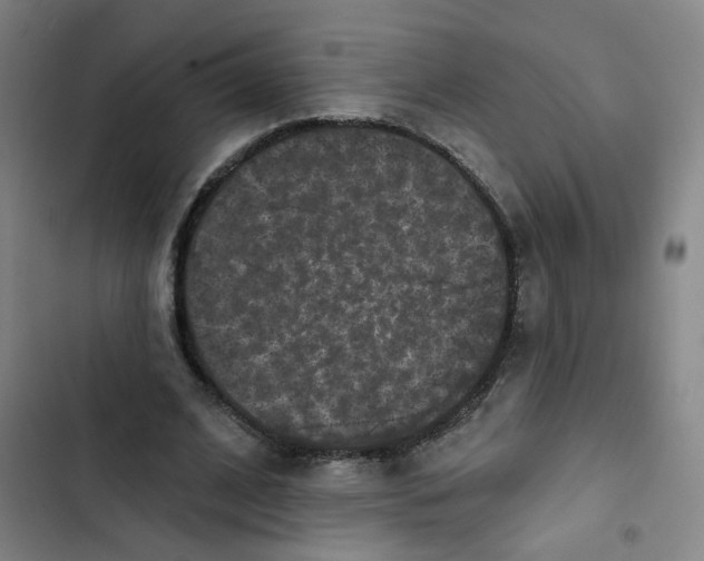 X0000102830584200809151042