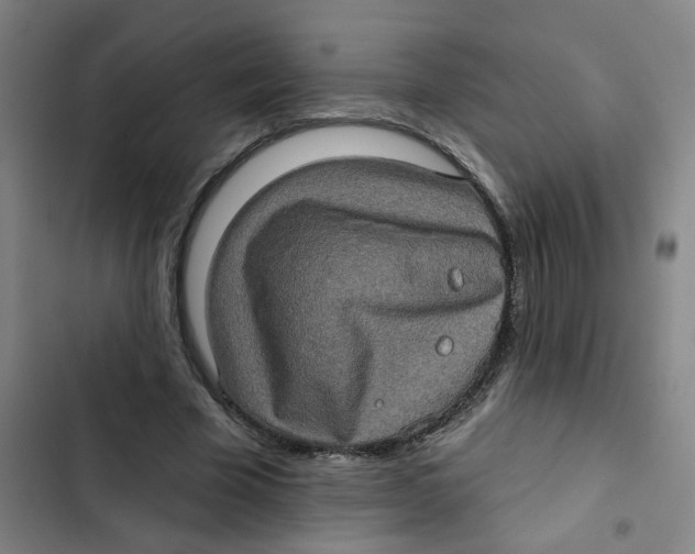 X0000102830585200809151041