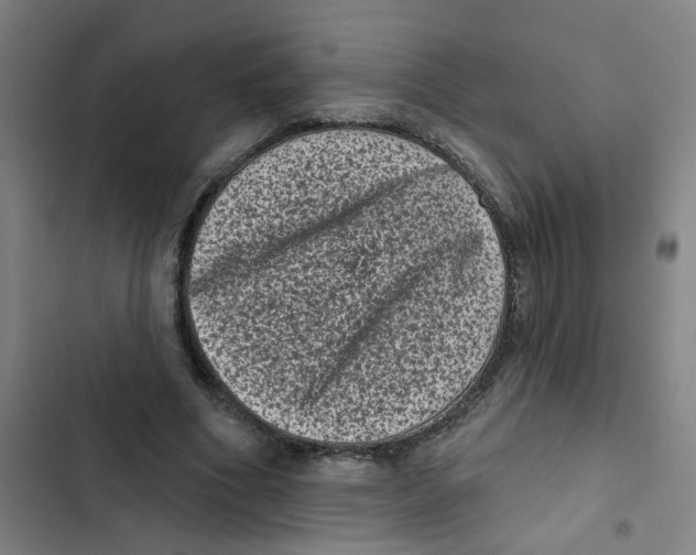 X0000102830586200809151041