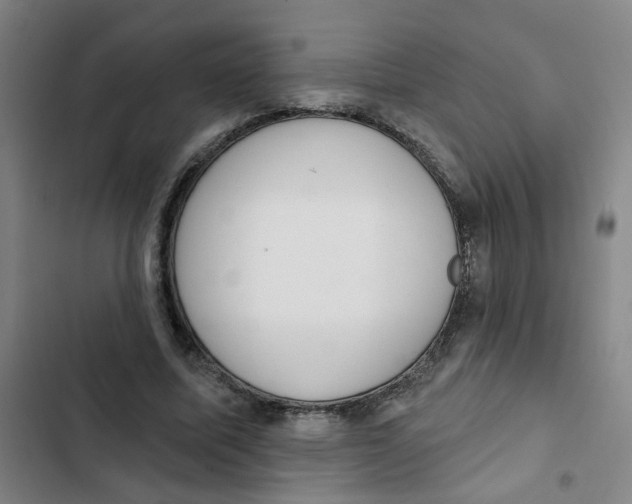 X0000102830587200809151041