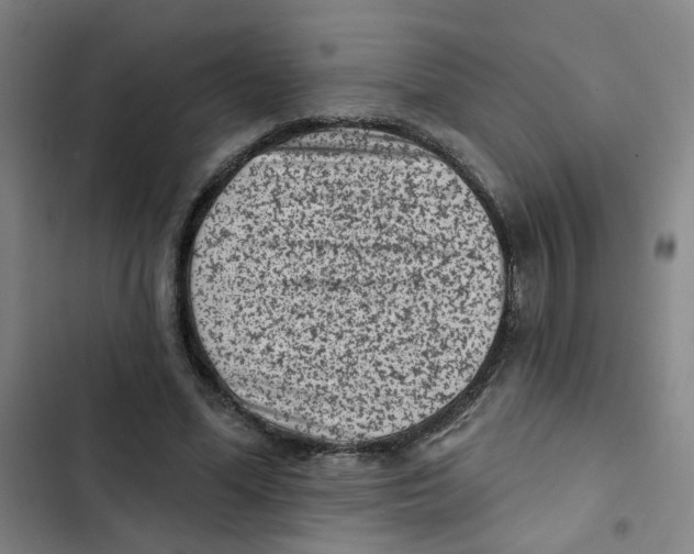 X0000102830588200809151041