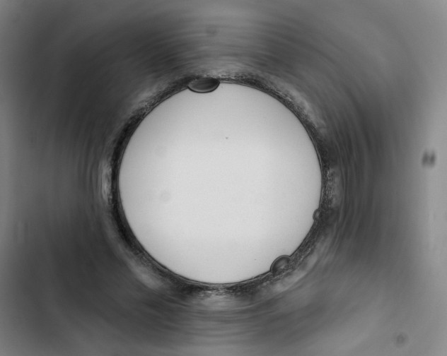 X0000102830589200809151041