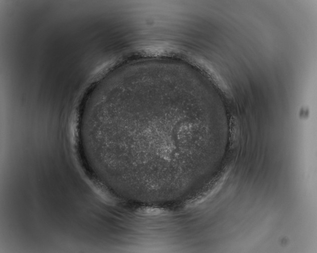 X0000102830590200809151041