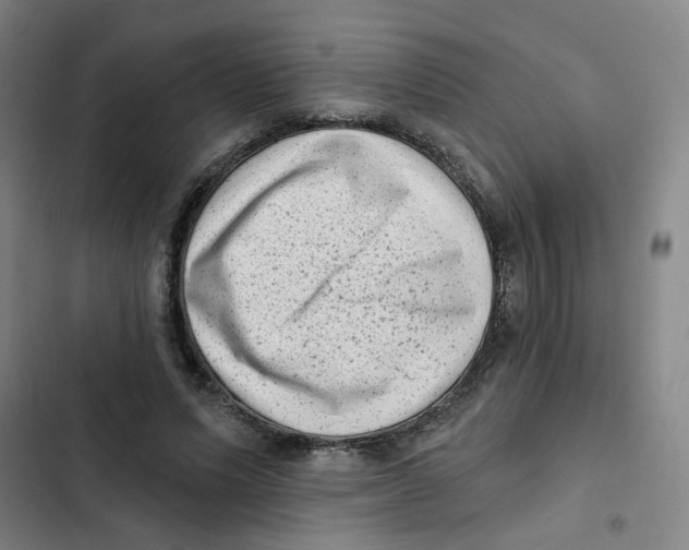 X0000102830591200809151041