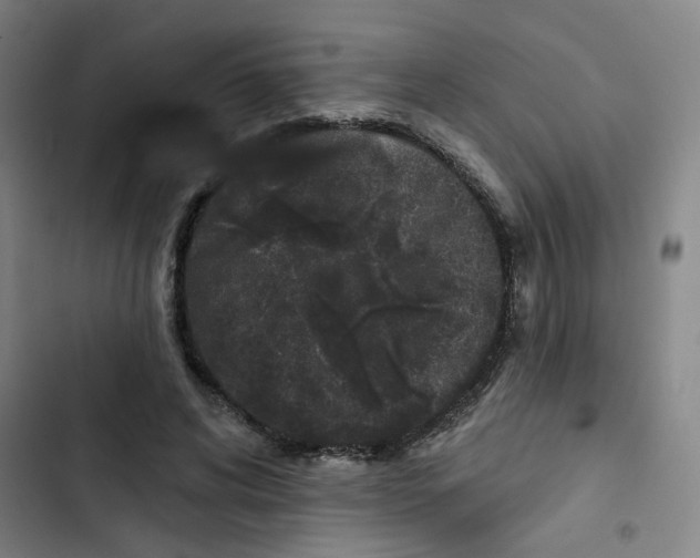 X0000102830592200809151041