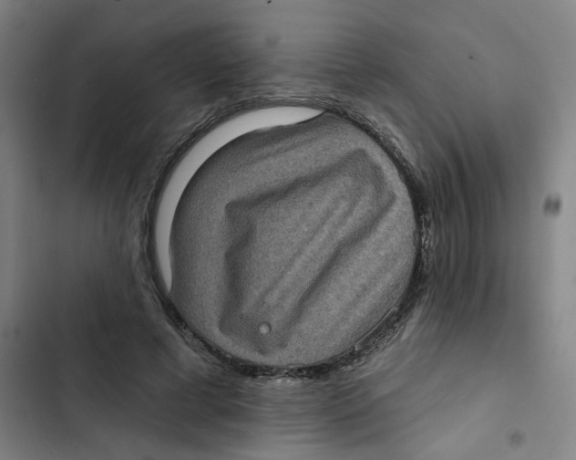 X0000102830593200809151041