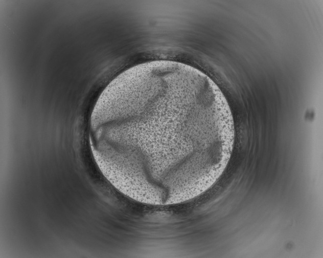 X0000102830594200809151041