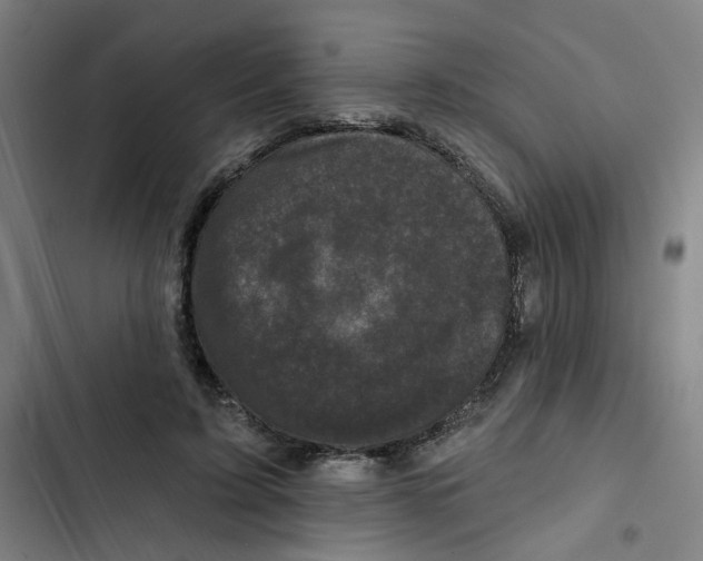 X0000102830595200809151041