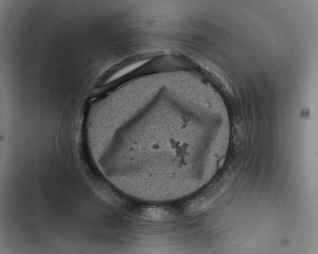 X0000102830596200809151041