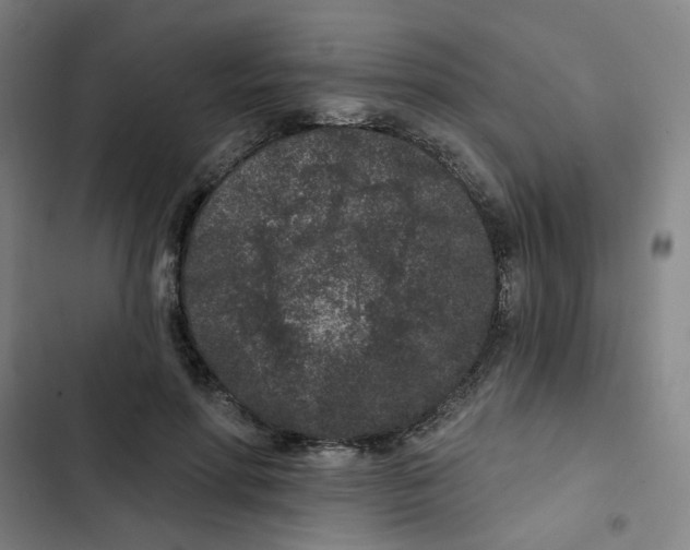 X0000102830598200809151041