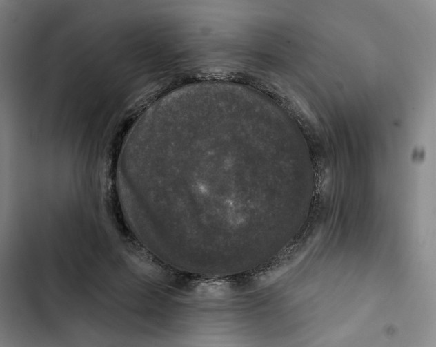 X0000102830599200809151041