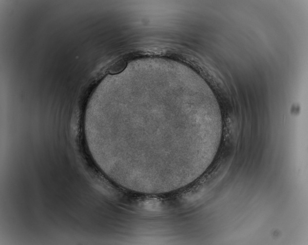 X0000102830600200809151041