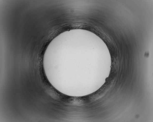 X0000102830601200809151041