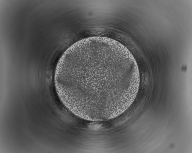 X0000102830602200809151041