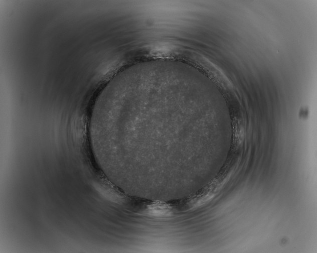 X0000102830603200809151041