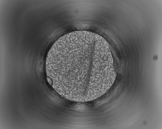 X0000102830604200809151041