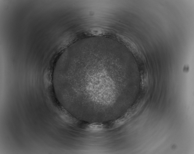 X0000102830606200809151041