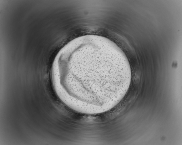X0000102830607200809151041