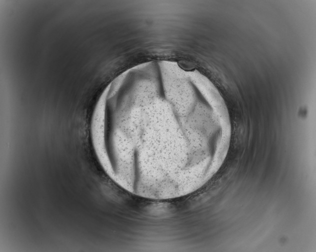 X0000102830609200809151041