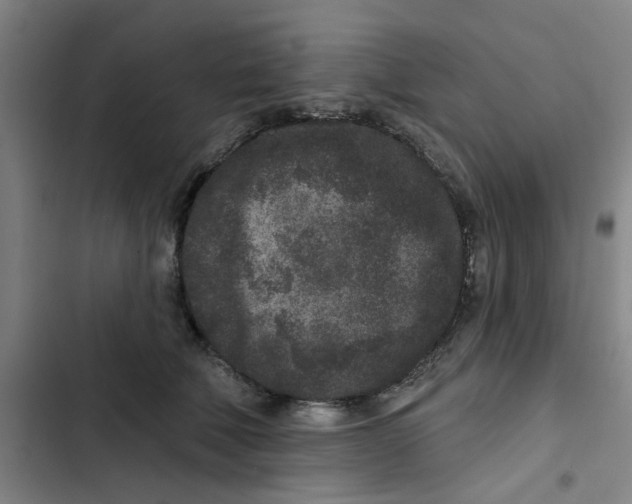 X0000102830610200809151041