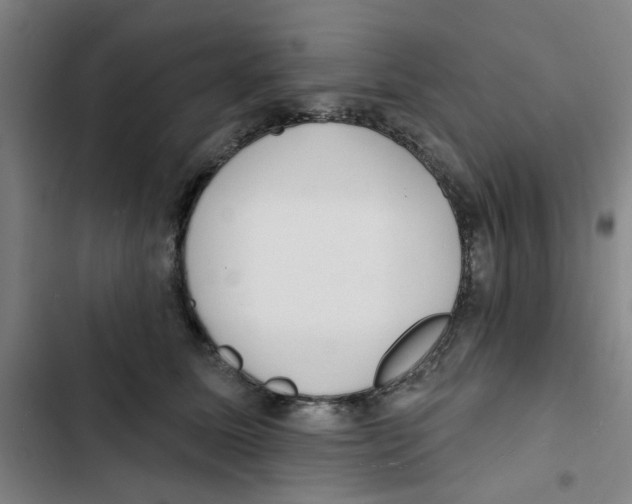 X0000102830611200809151041