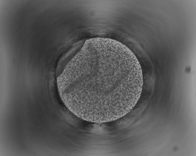 X0000102830612200809151041