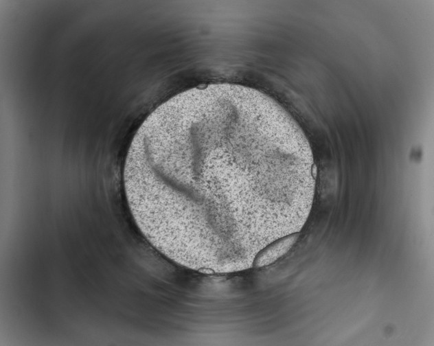 X0000102830613200809151041