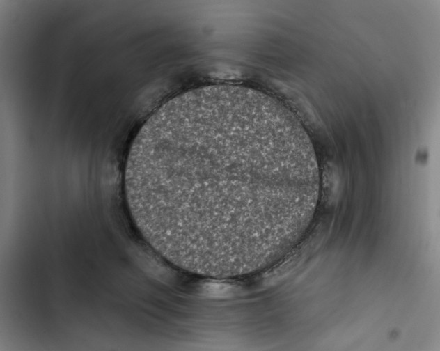 X0000102830614200809151041