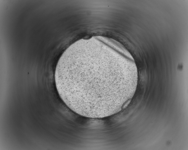 X0000102830617200809151041