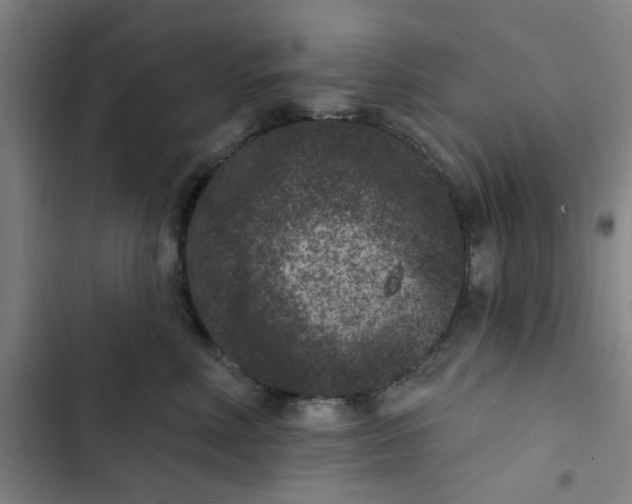 X0000102830618200809151041