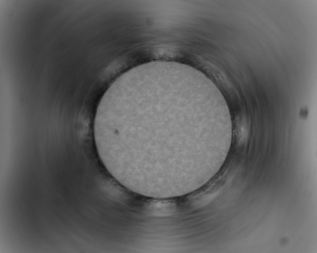 X0000102830619200809151041