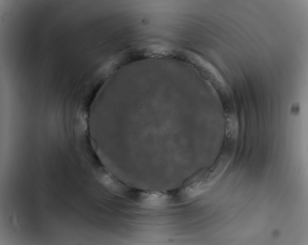 X0000102830621200809151041