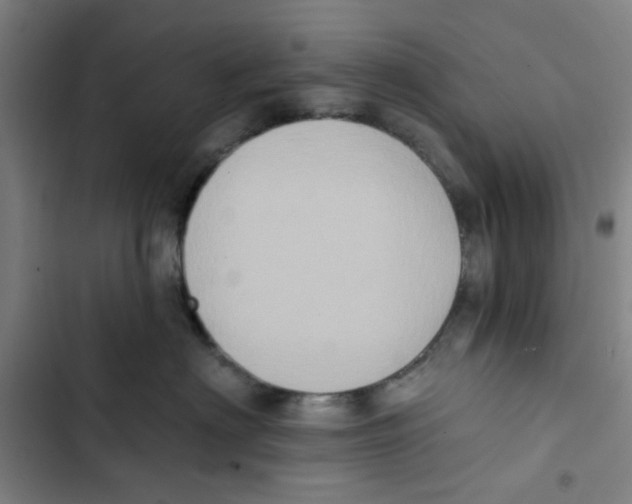 X0000102830622200809151041