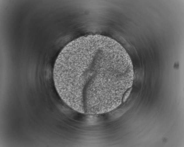 X0000102830623200809151041