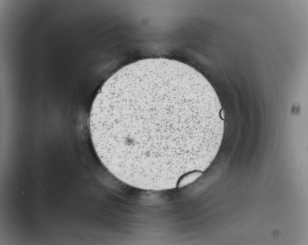 X0000102830624200809151041
