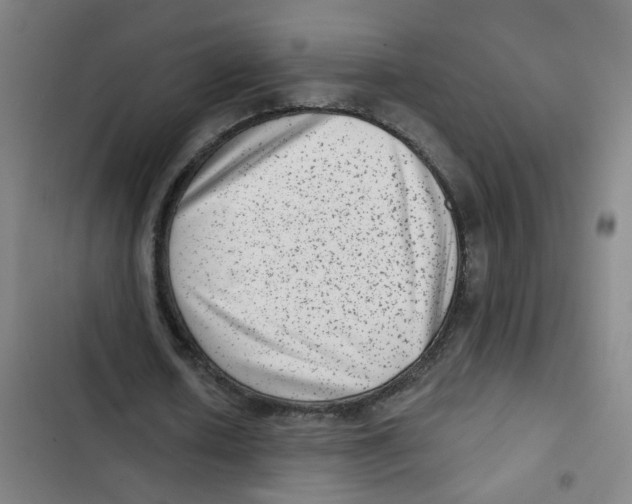 X0000102830626200809151040