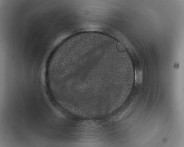X0000102830627200809151040